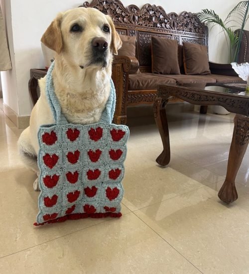 WhatsApp Image 2025-06-09 at 10.31.38 PM (1)